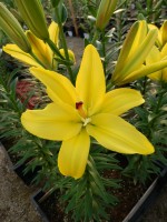 [5705 DJ AZ-04 No02.JPG]